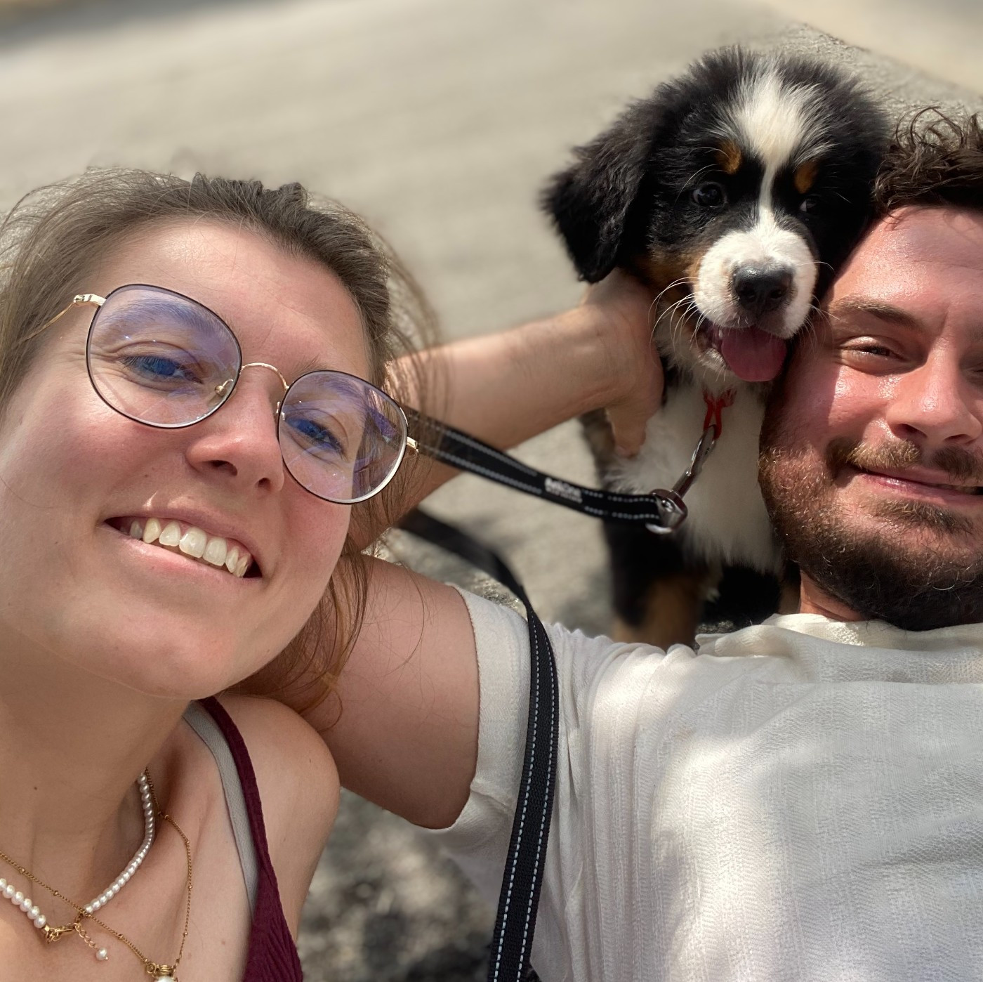 Le moment des départs pour les bébés de Sunday