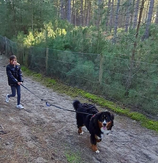Des Routes De Saint Jacques - NOUVELLES DE SILOE