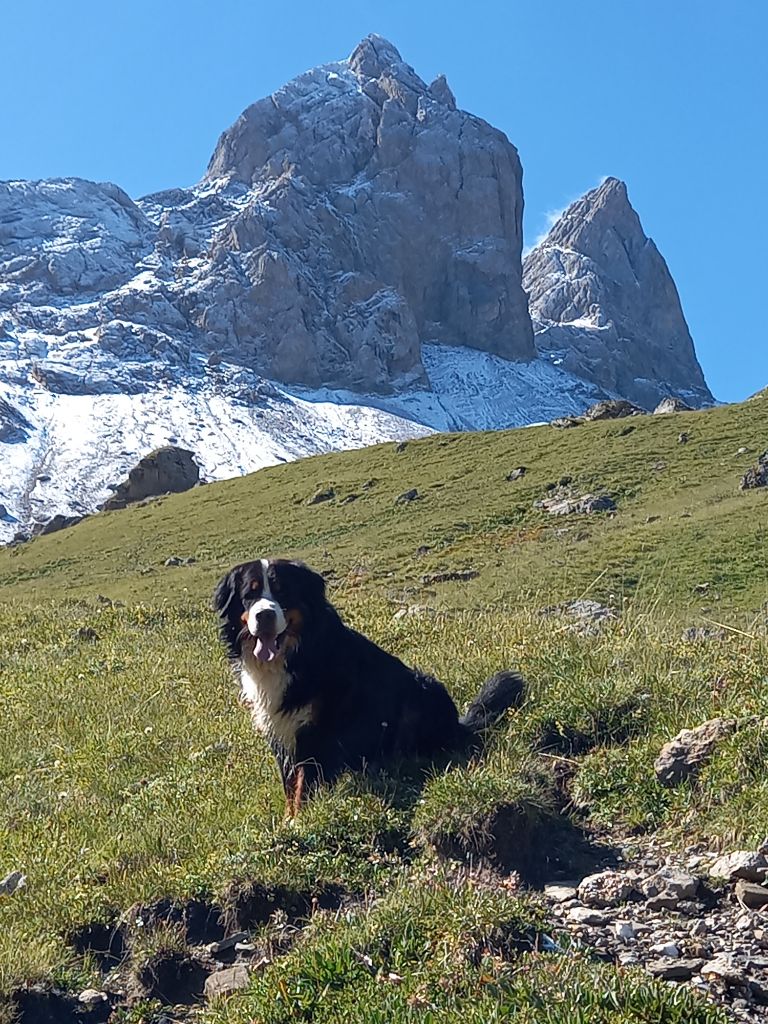 Des Routes De Saint Jacques - SCOTT en rando en Savoie