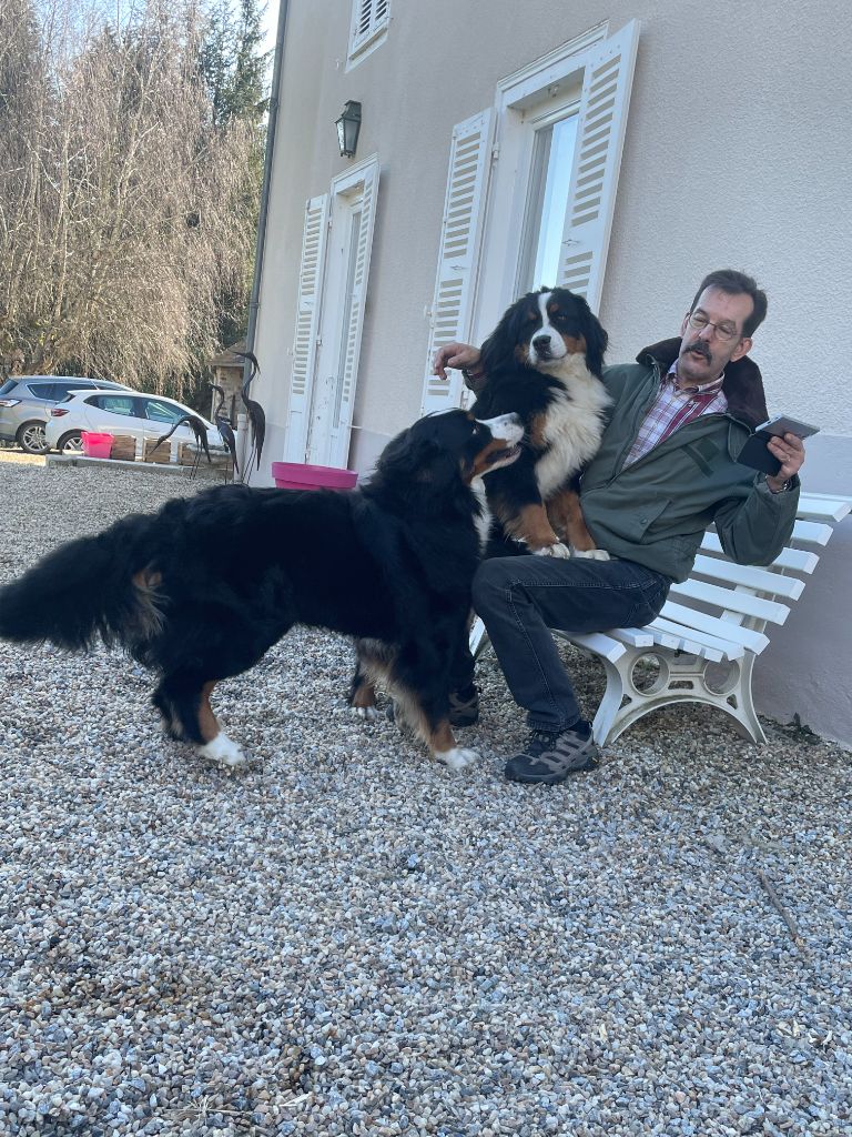 Des Routes De Saint Jacques - SUNDAY en visite chez son frère SIMBA